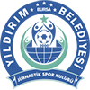 Bursa Yildirimspor
