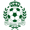 Dessel Sport