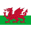 Wales U19