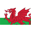 Wales U21